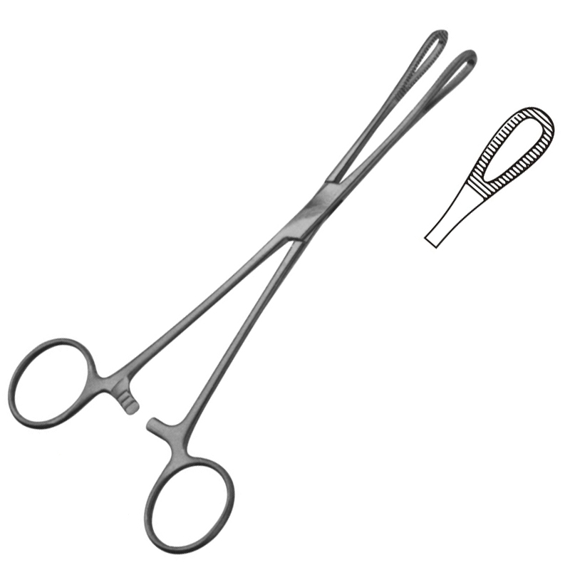 Rampley Sponge Forceps