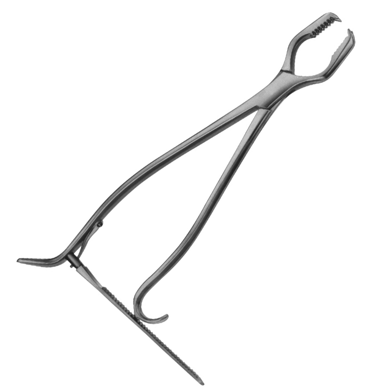 Lane Bone Holding Forceps
