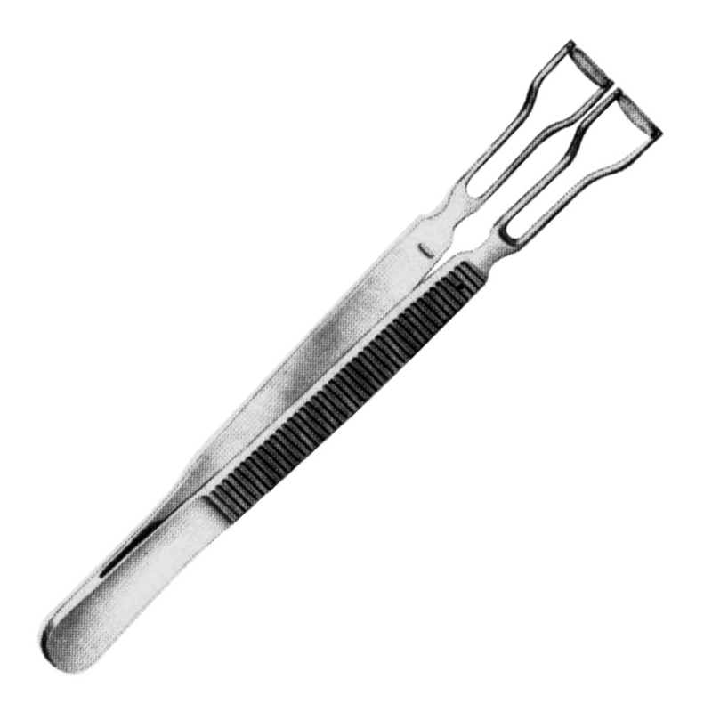 Knapp Entropium Forceps