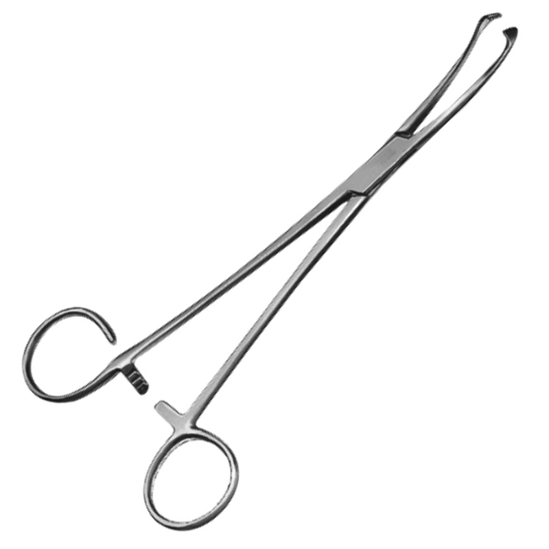 White Tonsil Forceps