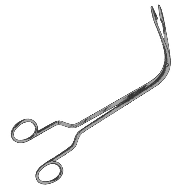 Fraenkel Laryngeal Forceps