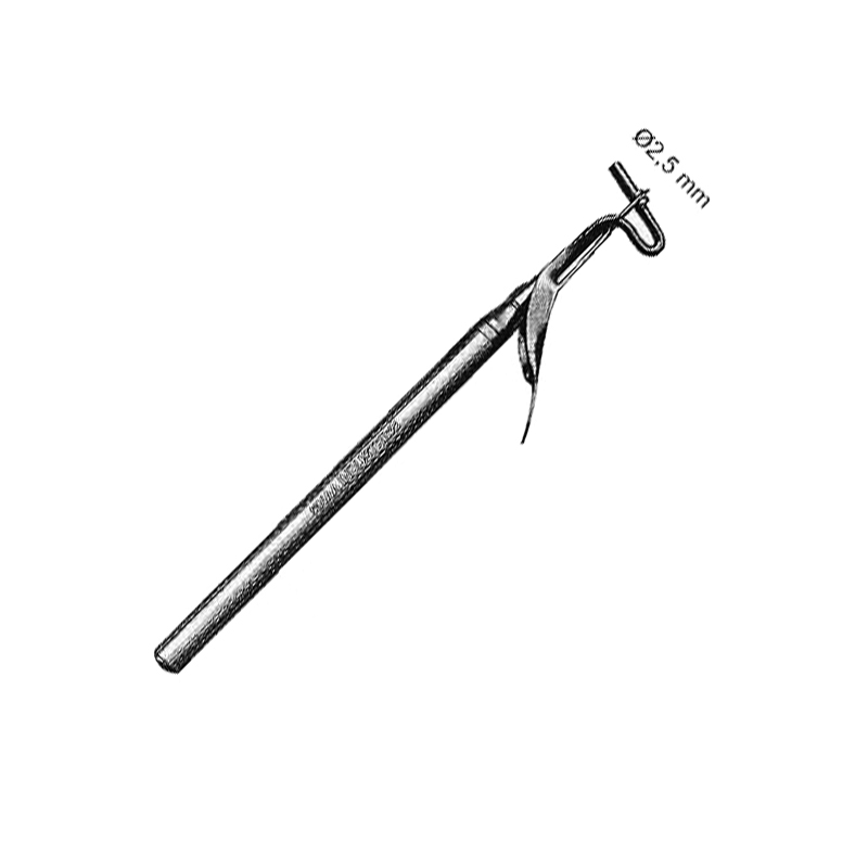Amalgam Carrier, Large