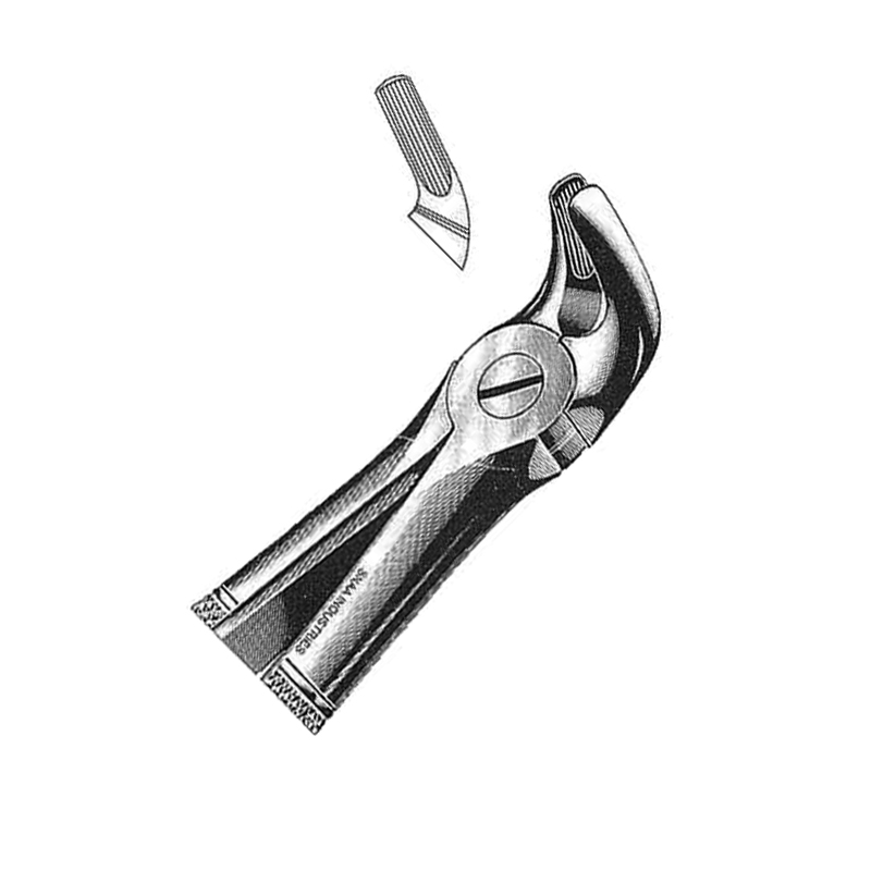Extracting Forceps English Pattern, Fig. 8