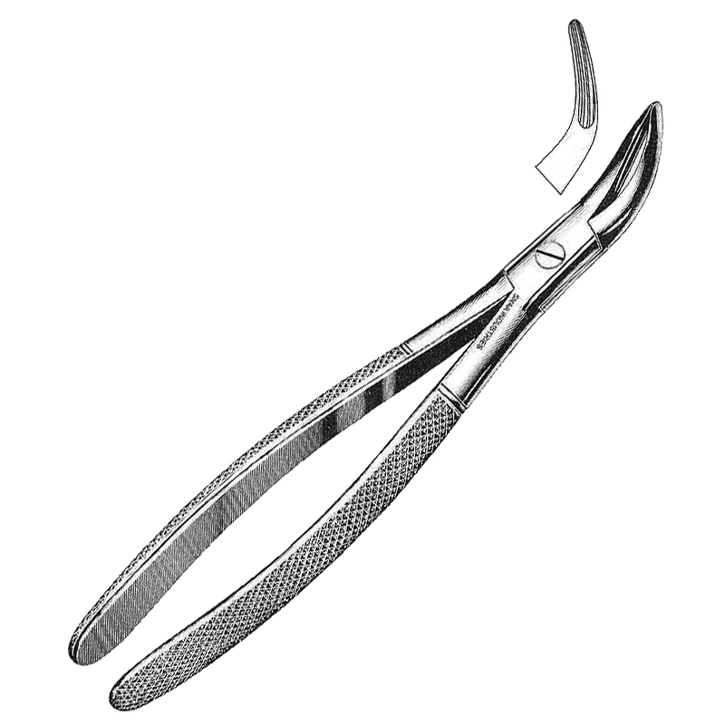  Root Fragment Forceps Lower
