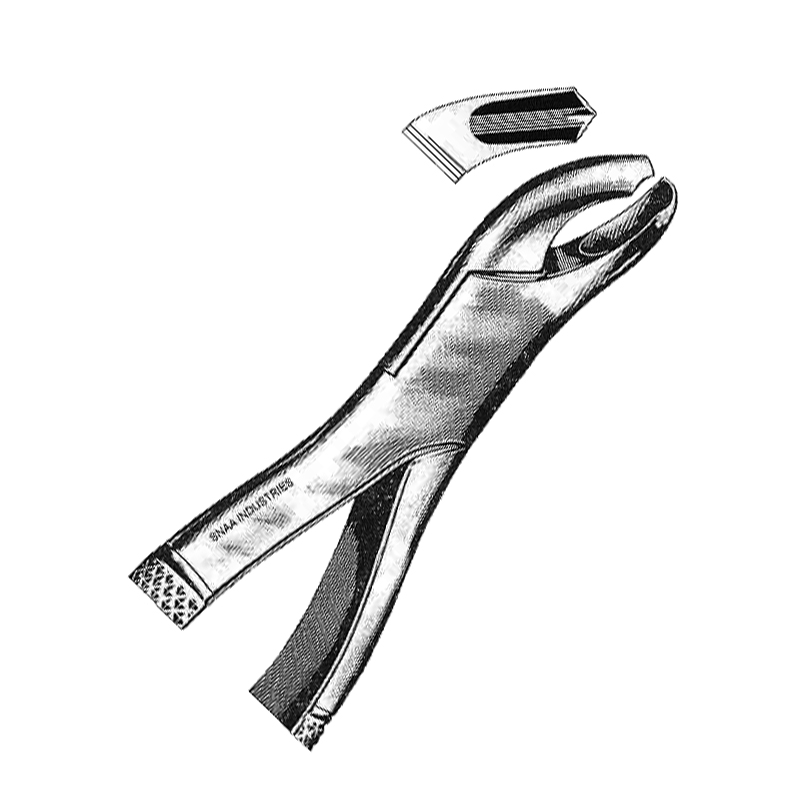 Tooth Extracting Forceps American Pattern fig.18 R