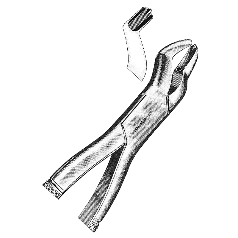 Tooth Extracting Forceps American Pattern fig.53 L