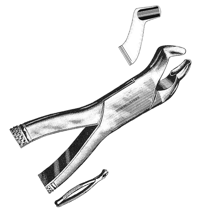 Tooth Extracting Forceps American Pattern fig.210s