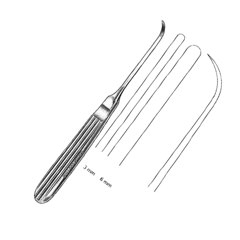 Dental Raspatory