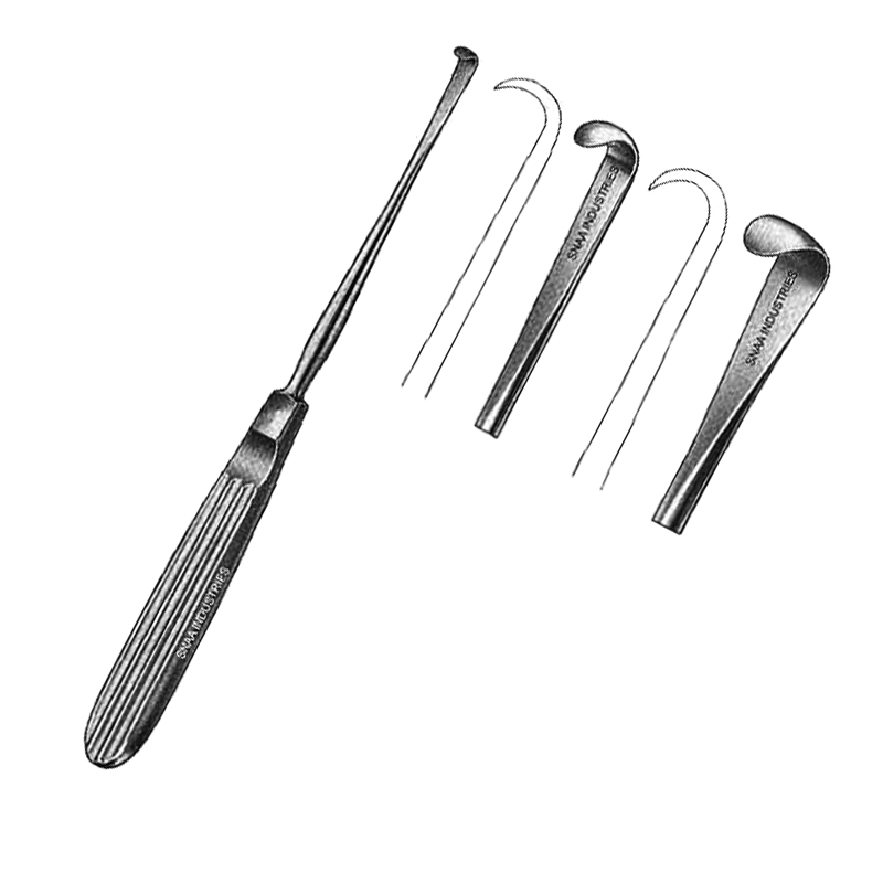 Dental Raspatory