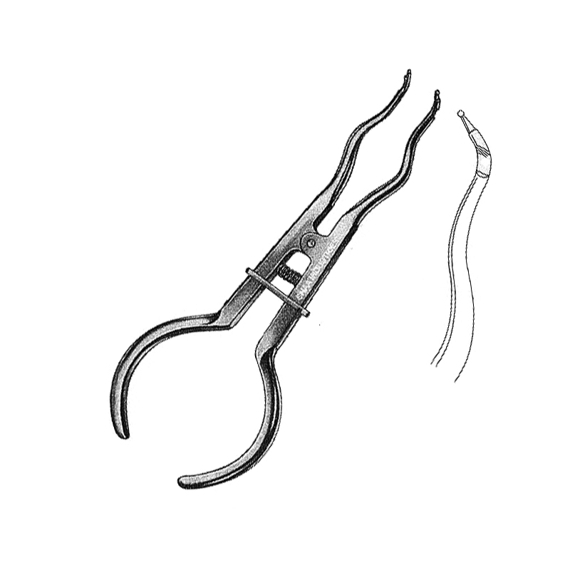 Brewer calmp forceps