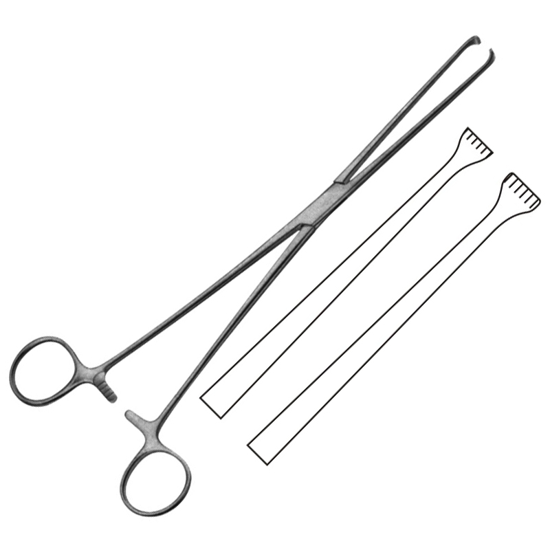 Allis Intestinal Forceps, 5x6 Teeth