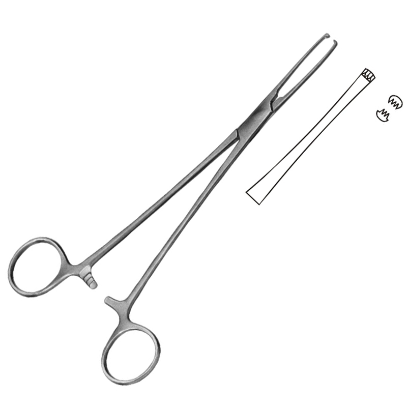Judd-Allis Intestinal Forceps
