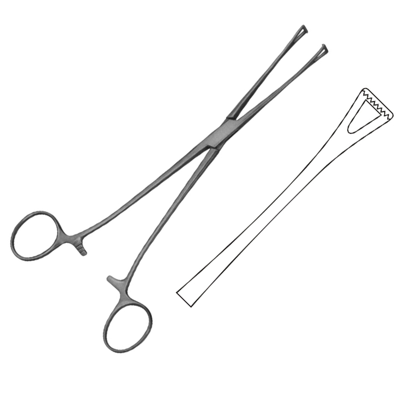 Lockwood Intestinal Forceps