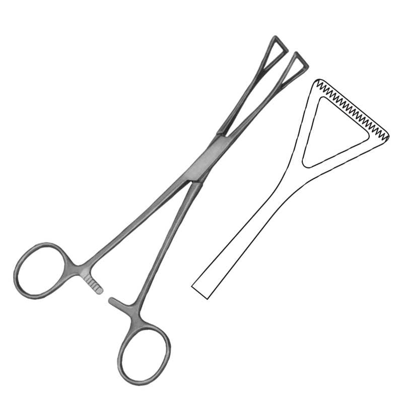 Duval-Collin Intestinal Forceps