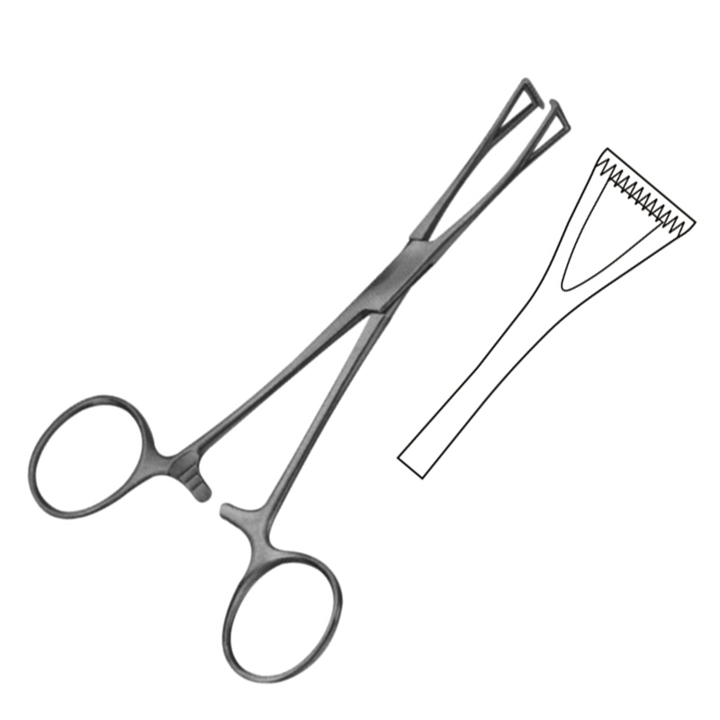 Collin Intestinal Forceps