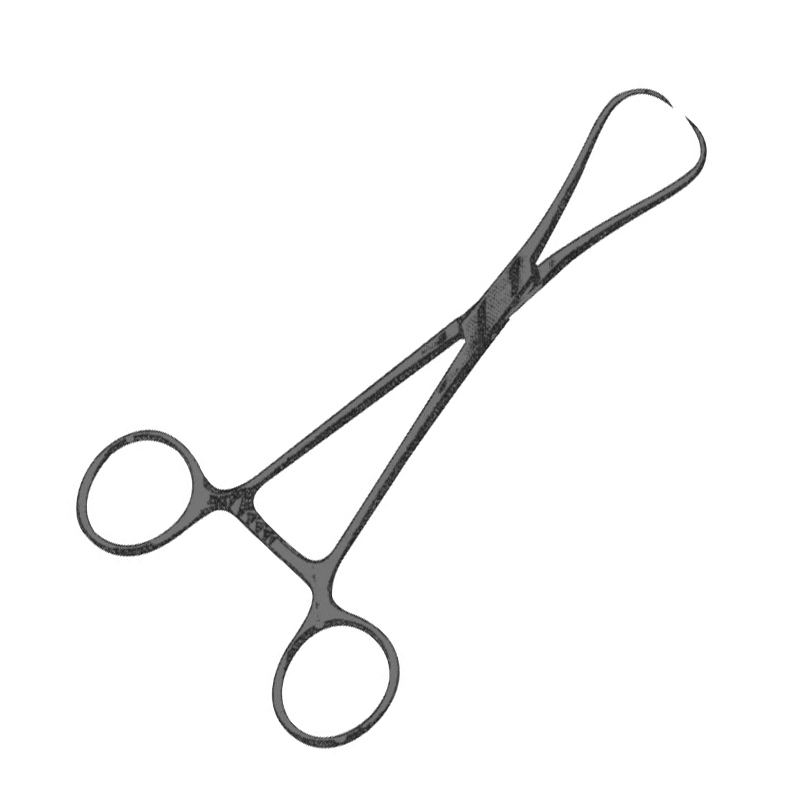 Staude-Nodre Tenaculum Forceps