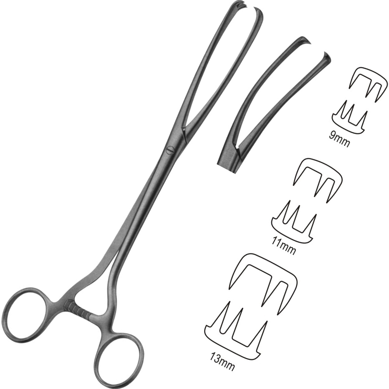 Museux Vullsellum Forceps, 3x3 Teeth