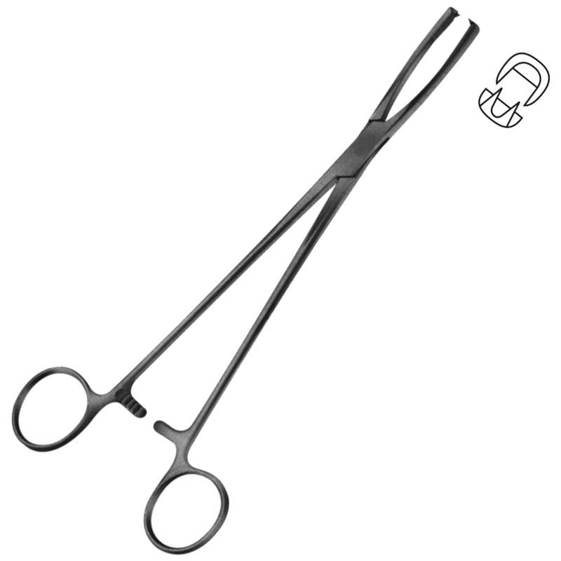 Jacobs Vullsellum Forceps