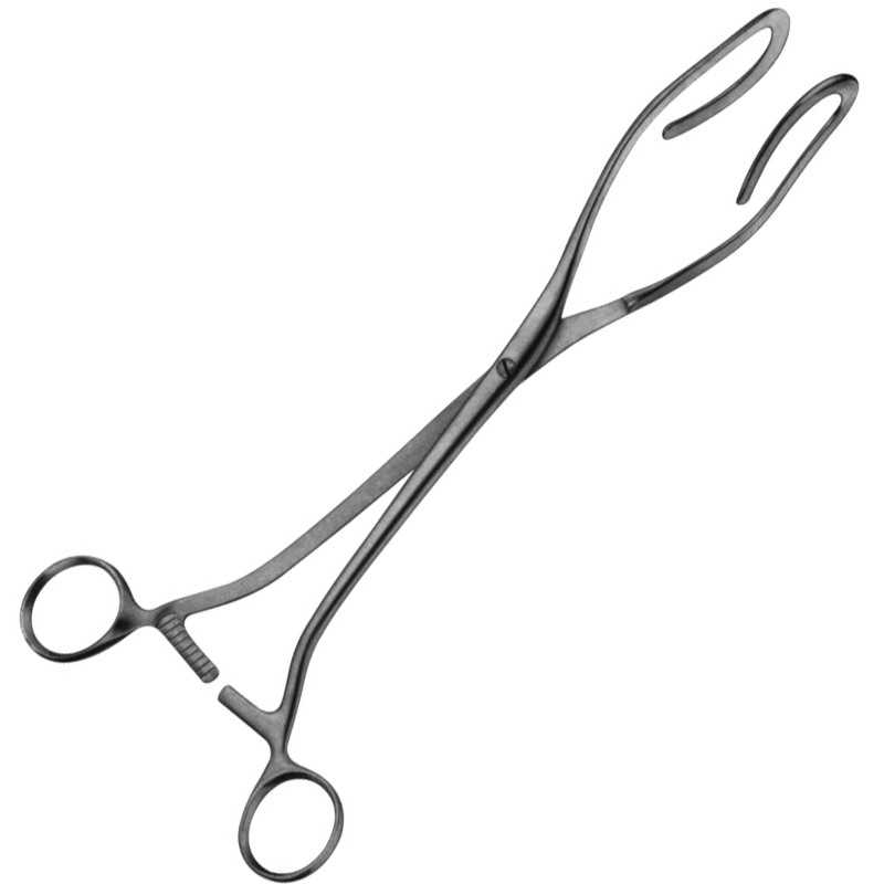 Dartigues Elevating Forceps